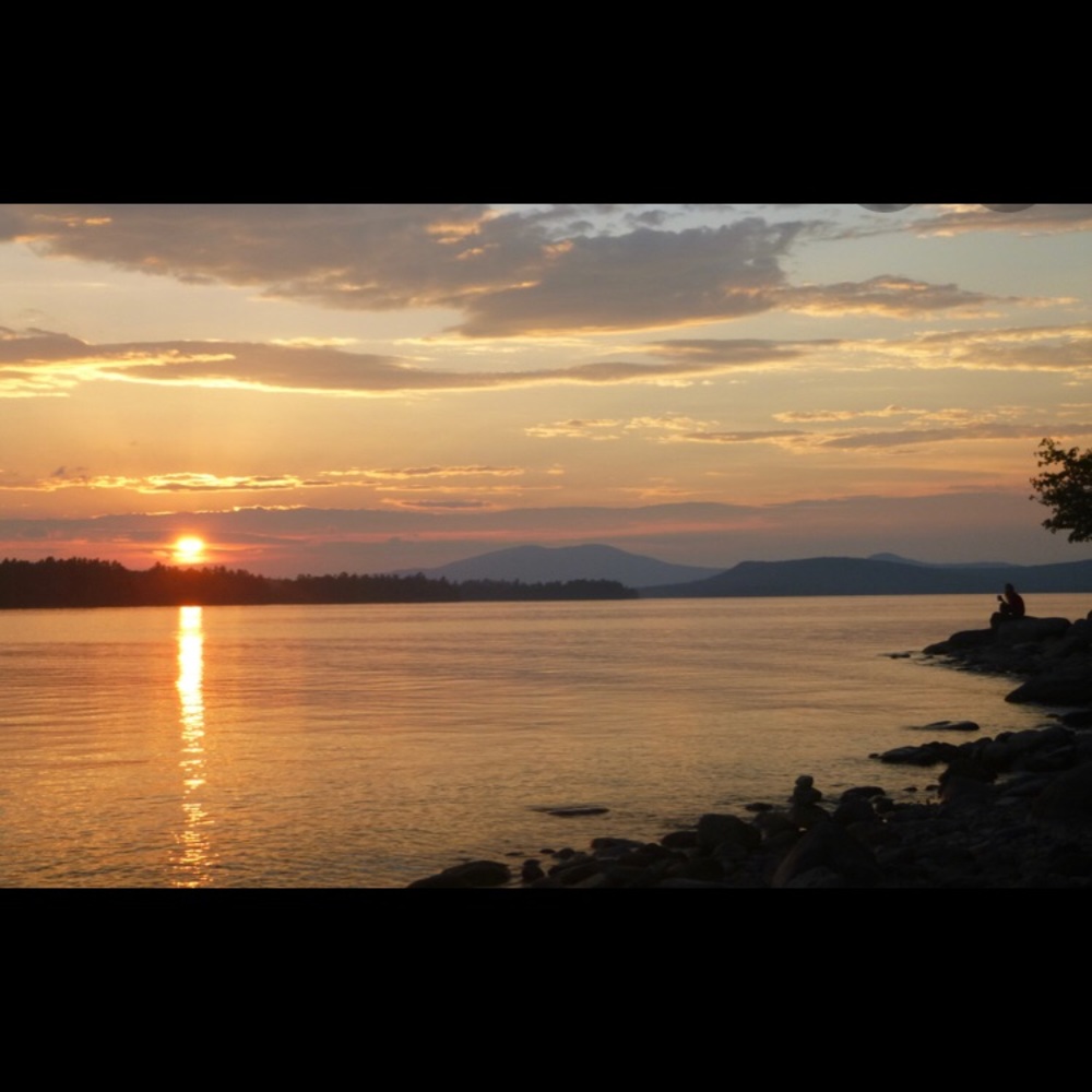 Meet your Posher, Allie